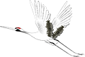 鳥